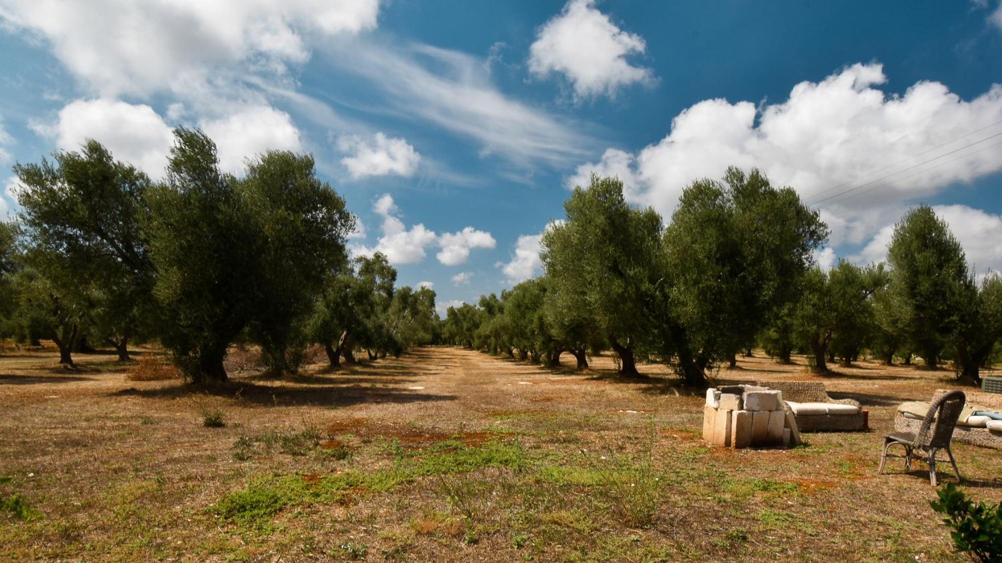 Apartament Italianway - Trullo Casa Tara Ostuni Zewnętrze zdjęcie
